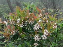 Spring Hiking 1005